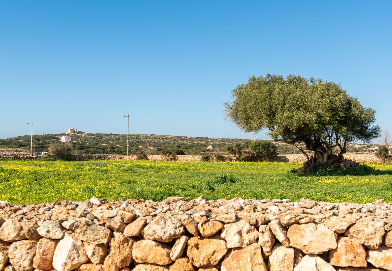 Villa in Ciutadella de Menorca - FLOMERTOR 1