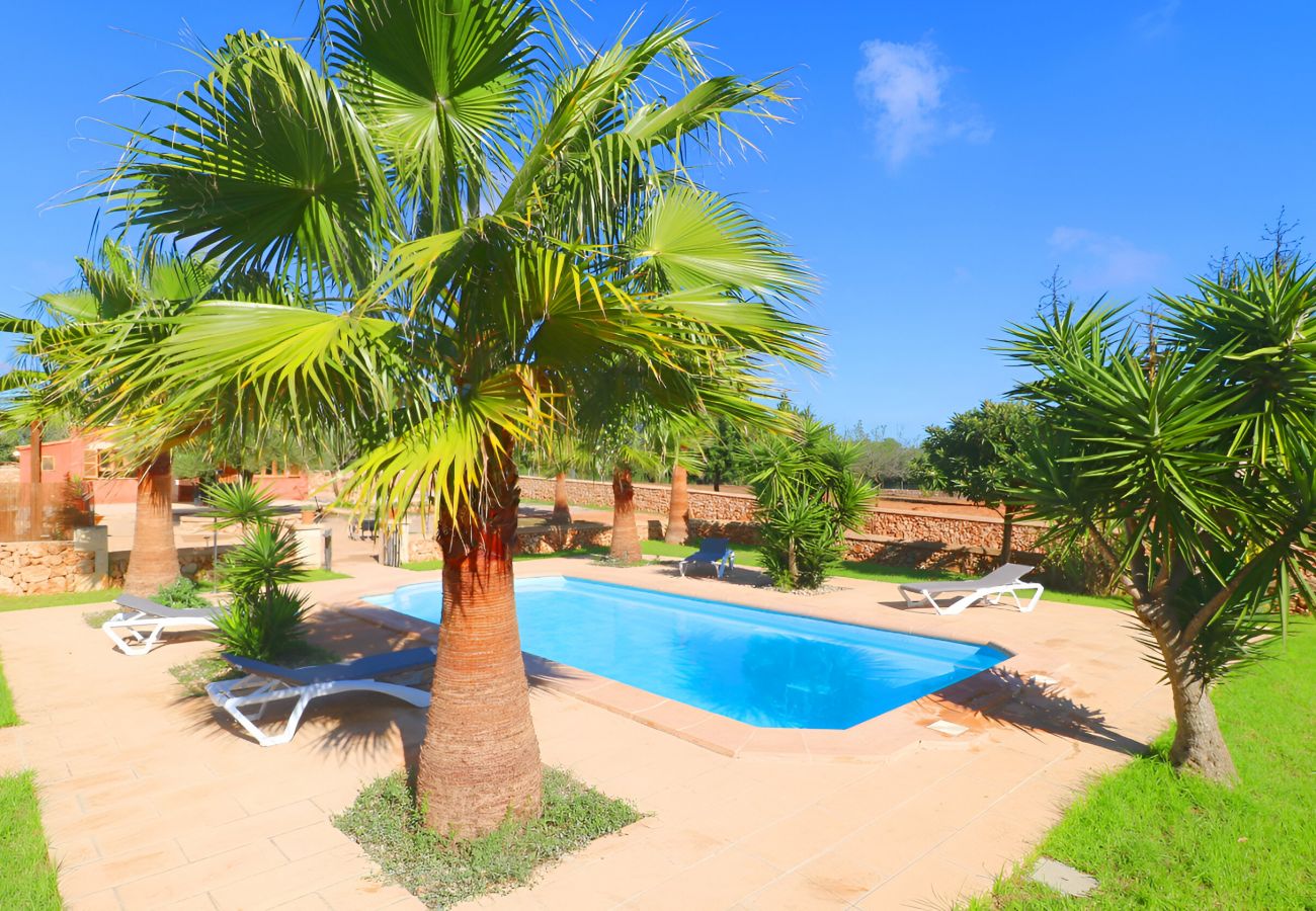 Villa with pool and garden