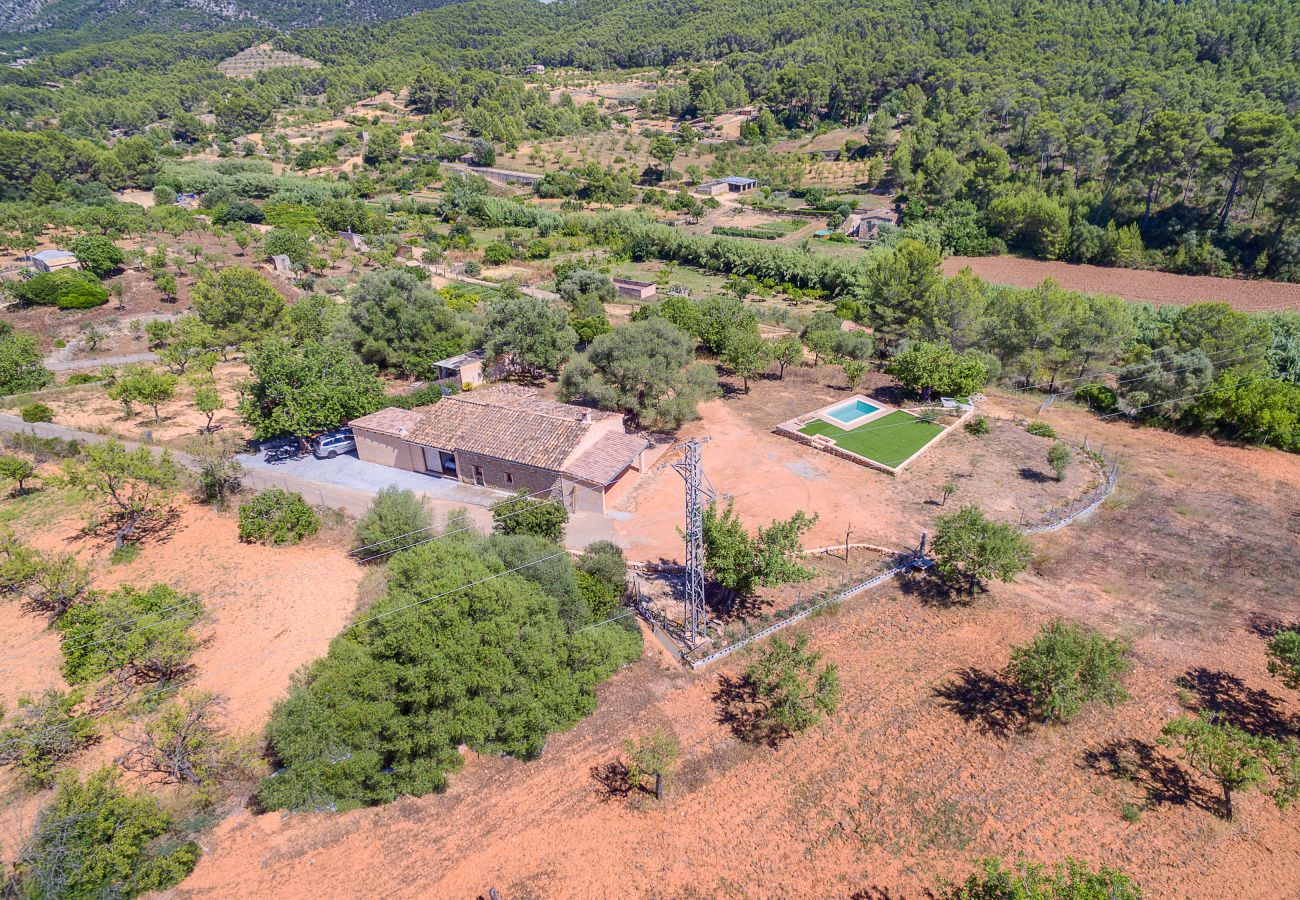 Villa à Calvià - Villa Calvià countryside