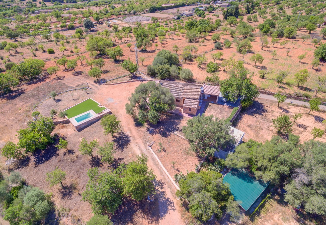 Villa à Calvià - Villa Calvià countryside