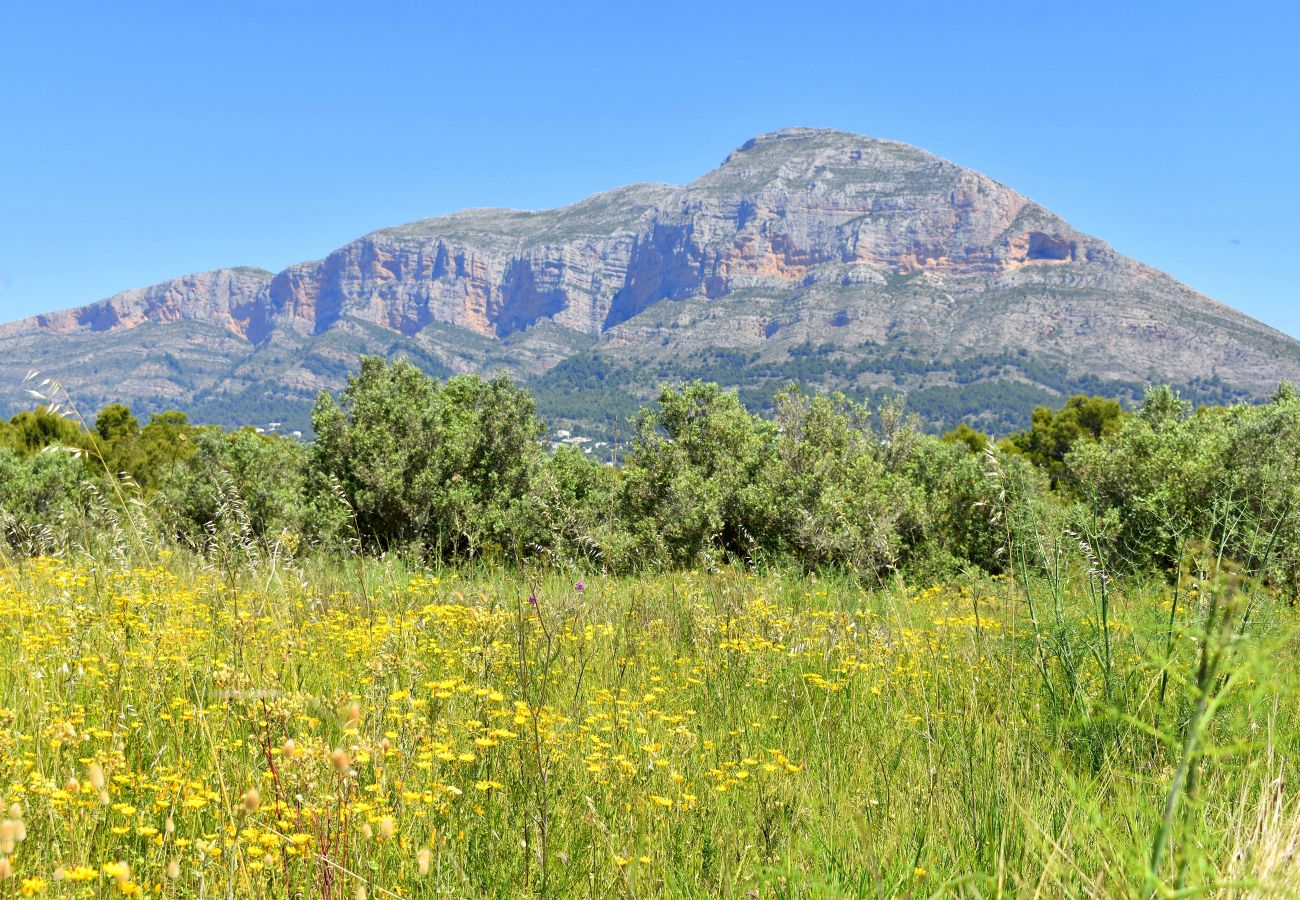 Шале на Хавеа / Javea - Casa Markoli  Javea - 5040