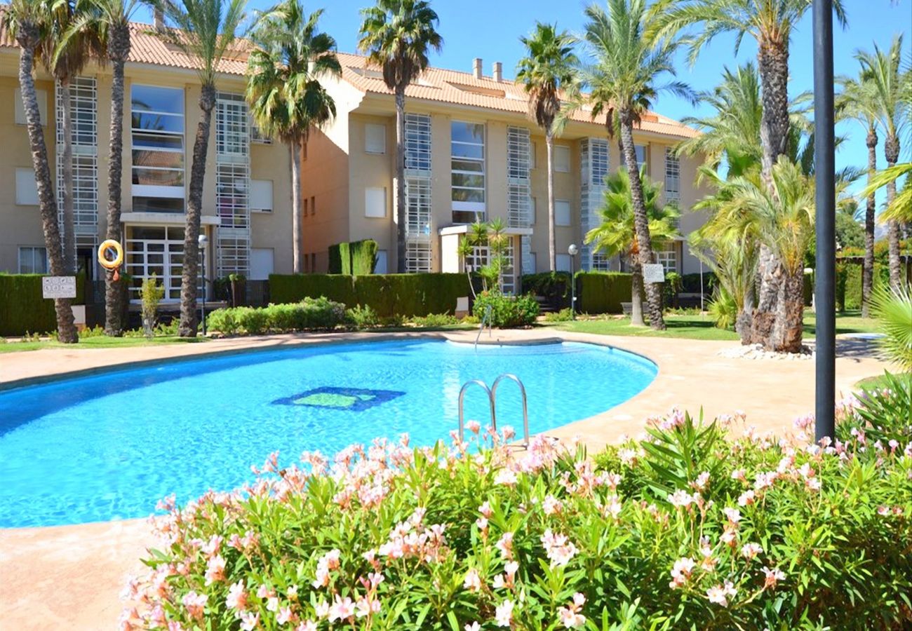 Апартаменты на Хавеа / Javea - Apartamento Golden Beach Javea - 5017