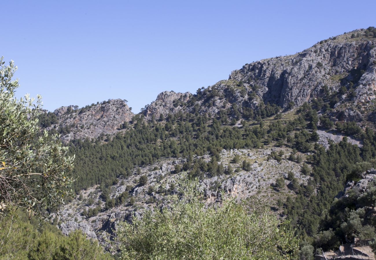 Вилла на Sóller - Villa Es Cocó Sóller 