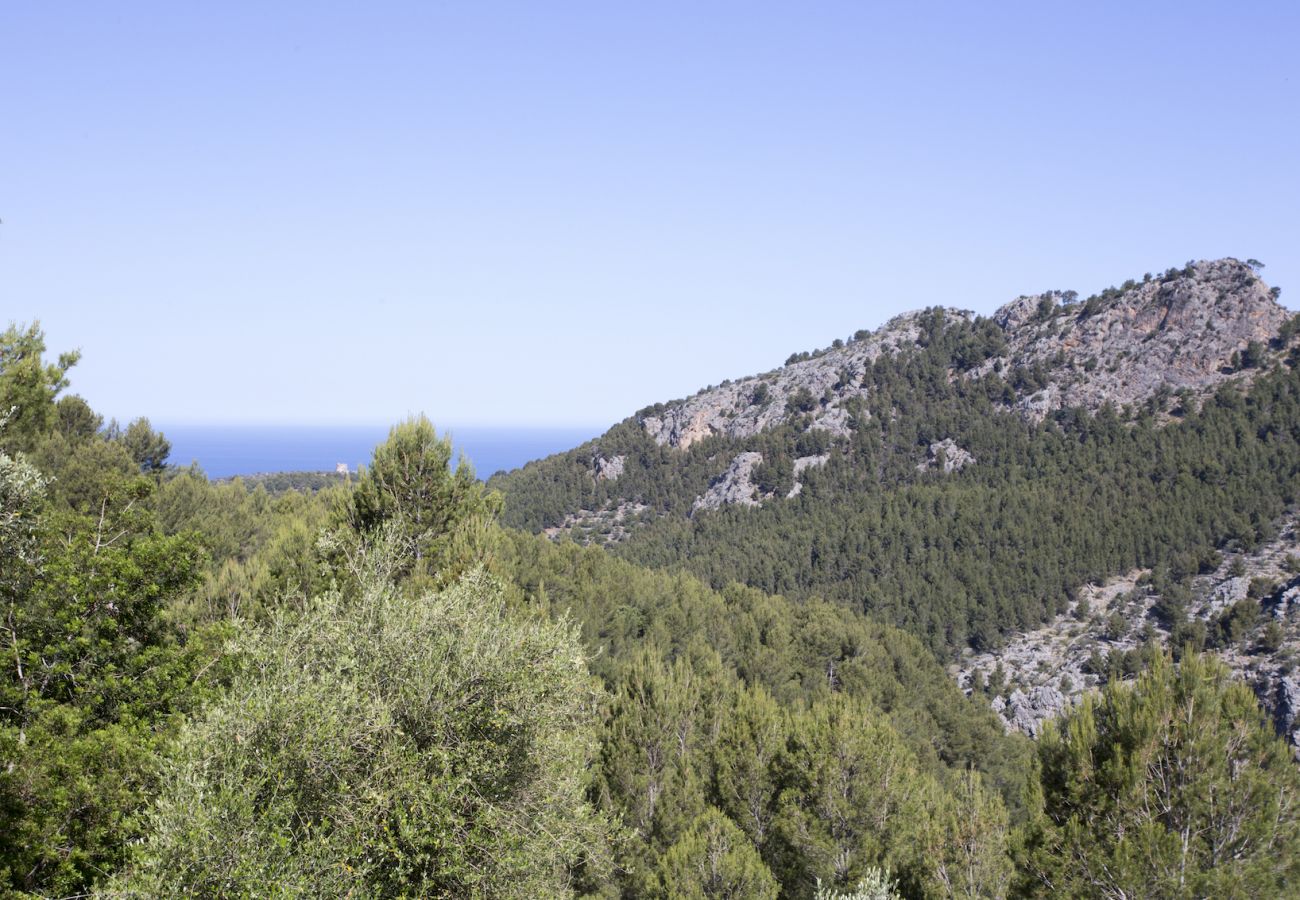 Вилла на Sóller - Villa Es Cocó Sóller 