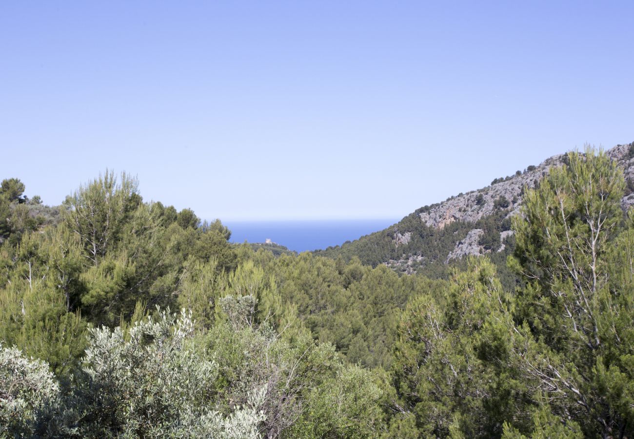 Вилла на Sóller - Villa Es Cocó Sóller 