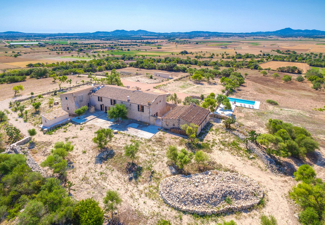 Вилла на Vilafranca de Bonany - Villa Vilafranca