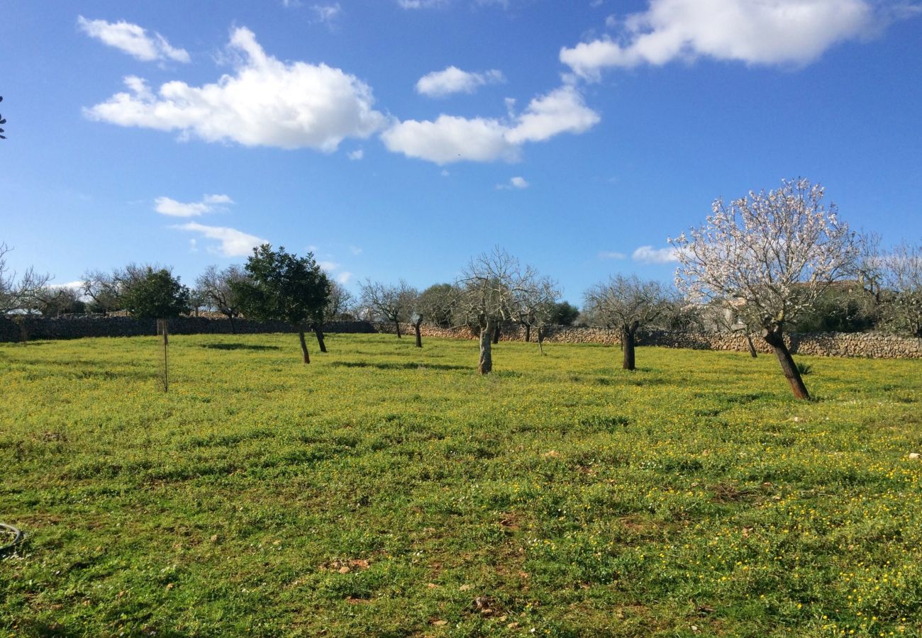 Особняк на Santa Margalida - Es Barranc Son Fullós 094 fantástica finca con piscina privada, jardín, terraza, barbacoa y ping pong