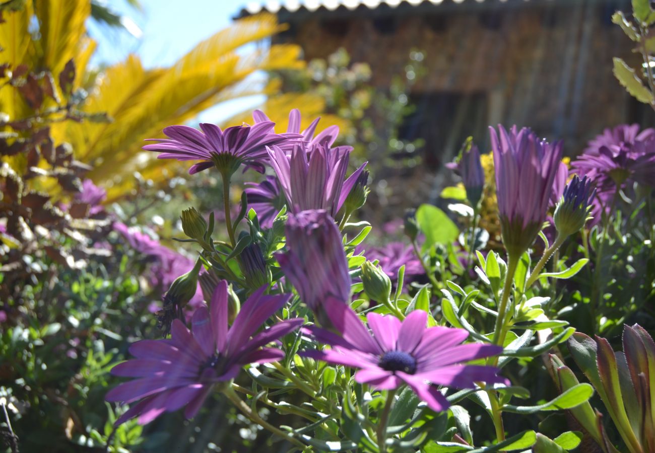 Особняк на Buger - Sa Figuera Blanca 115 acogedora finca con piscina privada, jardín, terraza, barbacoa y WiFi