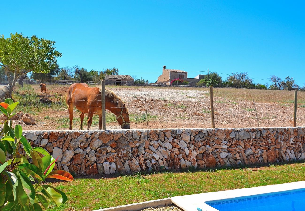 Особняк на Llubi - Sa Vinyota Gran 131 finca tradicional con piscina privada, jardín, aire acondicionado y WiFi