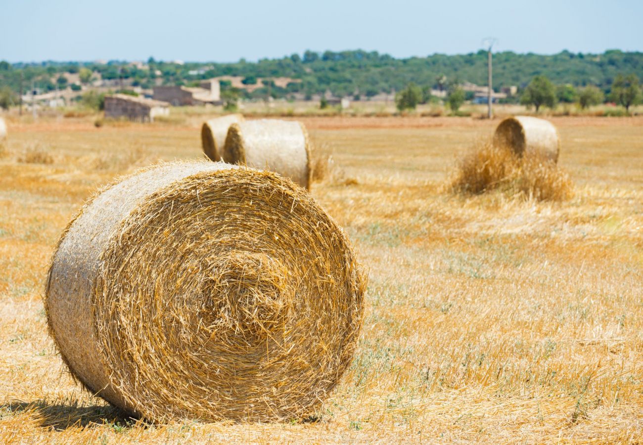 Особняк на Muro - Finca Son Estrella 032 by Mallorca Charme